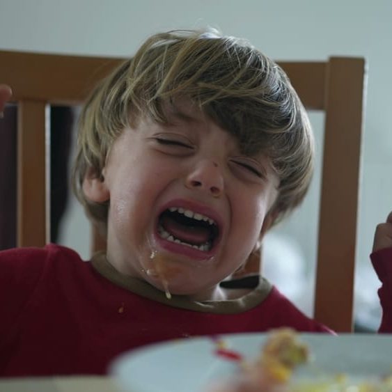 Small,Boy,Having,A,Tantrum,At,Lunch,Table.,Close-up,Face